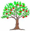 apple tree